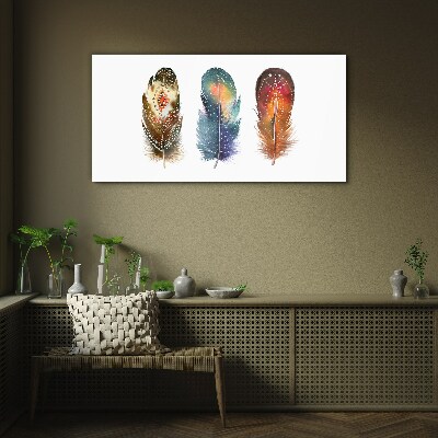 Colorful Feathers Glass Wall Art