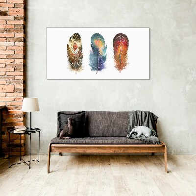 Colorful Feathers Glass Wall Art