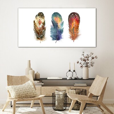 Colorful Feathers Glass Wall Art