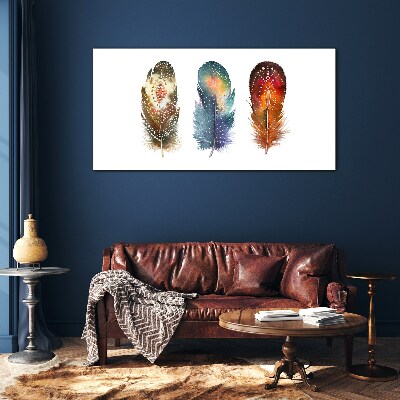 Colorful Feathers Glass Wall Art