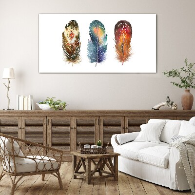 Colorful Feathers Glass Wall Art