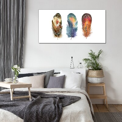 Colorful Feathers Glass Wall Art