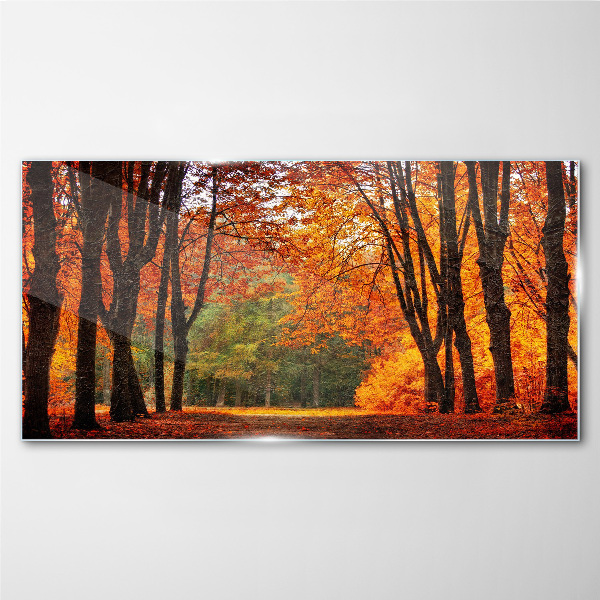 Autumn tree alley Glass Print