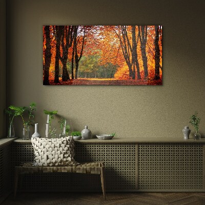 Autumn tree alley Glass Print