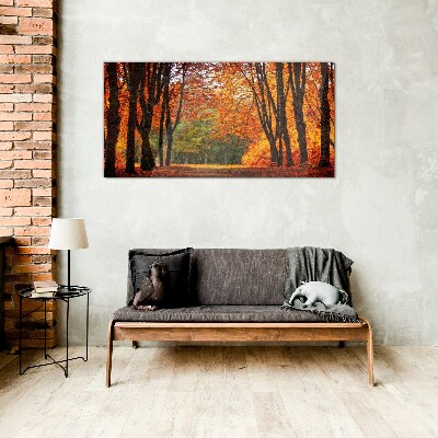 Autumn tree alley Glass Print
