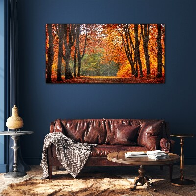 Autumn tree alley Glass Print