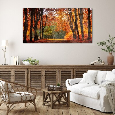 Autumn tree alley Glass Print