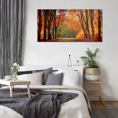 Autumn tree alley Glass Print