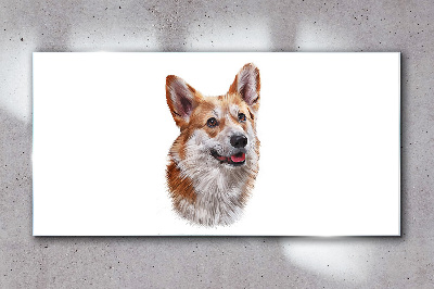 Portrait of a cheerful Corgi dog Glass Wall Art