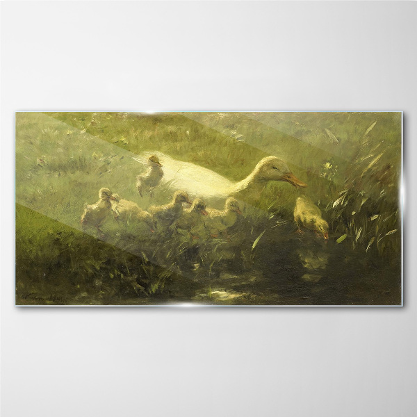 Animals duck grass nature Glass Wall Art