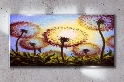Golden dandelions in the sunlight Glass Wall Art