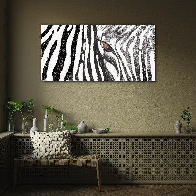 Zebra in monochrome style Glass Print