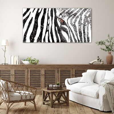 Zebra in monochrome style Glass Print