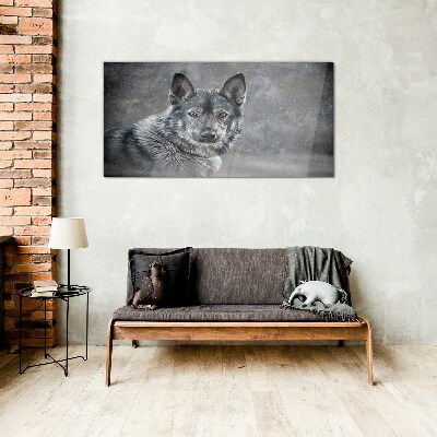 Portrait of a gray dog Glass Wall Art