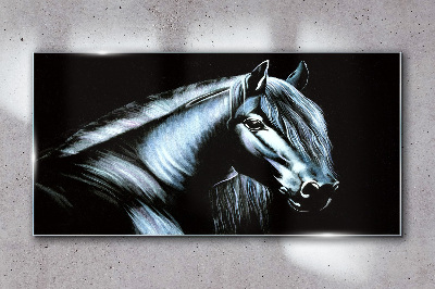 A dark horse in the glow of light Glass Wall Art