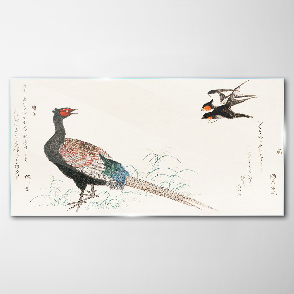 Peacock dance in spring landscape Glass Wall Art