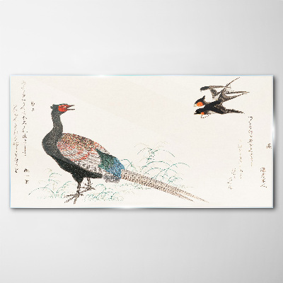Peacock dance in spring landscape Glass Wall Art