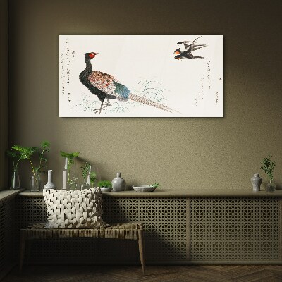 Peacock dance in spring landscape Glass Wall Art