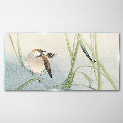 A titmouse against the grass Glass Wall Art