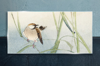 A titmouse against the grass Glass Wall Art