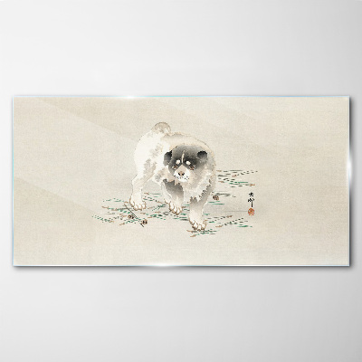 Dog on the grass background Glass Wall Art