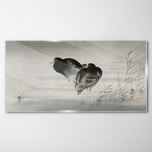 Two ducks on calm water Glass Wall Art