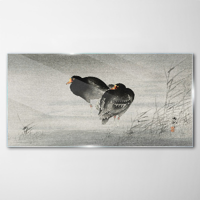 Two ducks on calm water Glass Wall Art