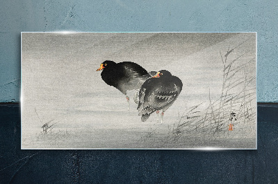 Two ducks on calm water Glass Wall Art