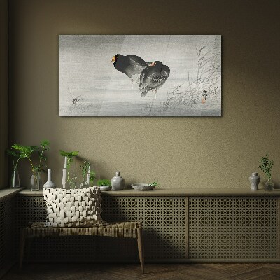 Two ducks on calm water Glass Wall Art