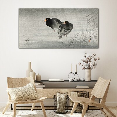 Two ducks on calm water Glass Wall Art