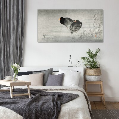 Two ducks on calm water Glass Wall Art