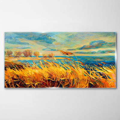 Golden grass over blue water Glass Print