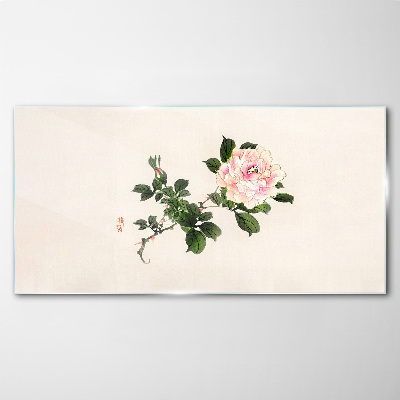 Peony flower on a light background Glass Wall Art
