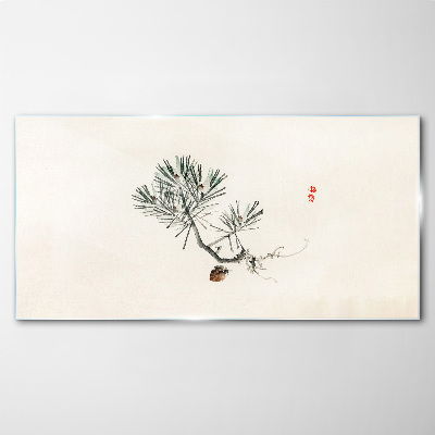Pine tree on a white background Glass Wall Art