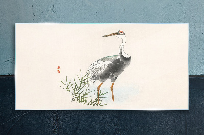 Black stork on the grass background Glass Wall Art