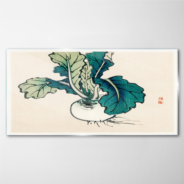 Green radish on a light background Glass Wall Art