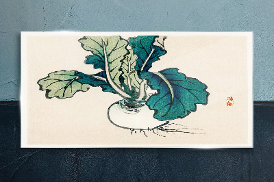 Green radish on a light background Glass Wall Art