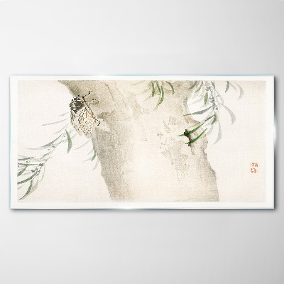 Cicada on the branch background Glass Print