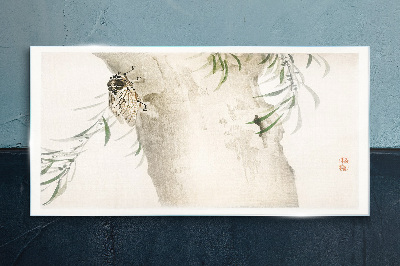 Cicada on the branch background Glass Print
