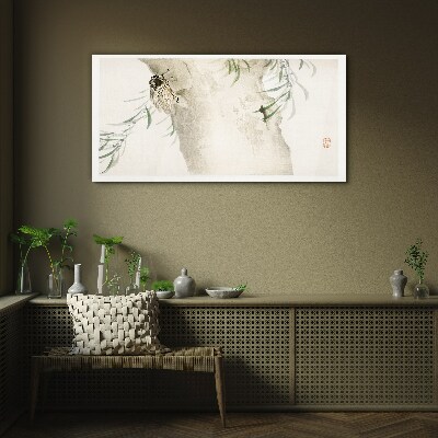 Cicada on the branch background Glass Print