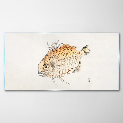 Gold fish on white background Glass Print