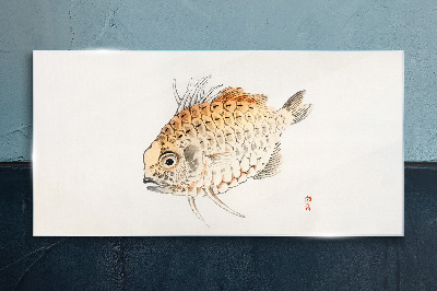 Gold fish on white background Glass Print