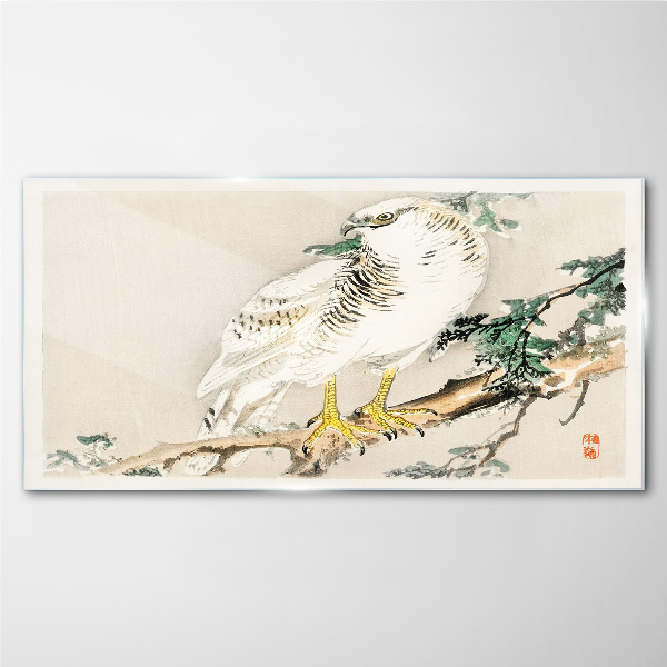 Falcon on a branch Glass Print
