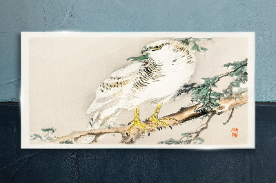 Falcon on a branch Glass Print