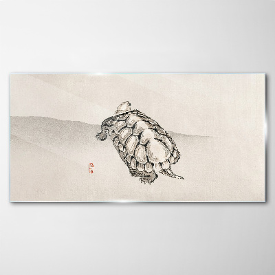 Turtle on a minimalist background Glass Print