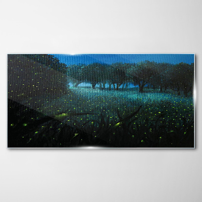 Night lights in the forest Glass Print
