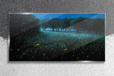 Night lights in the forest Glass Print