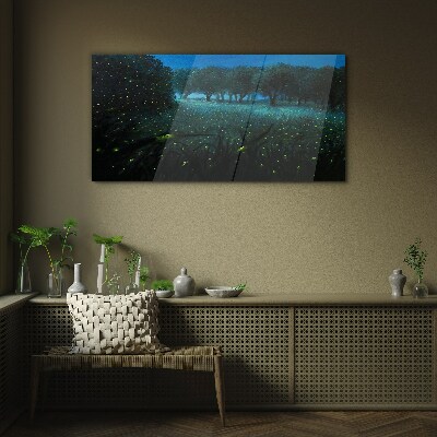 Night lights in the forest Glass Print