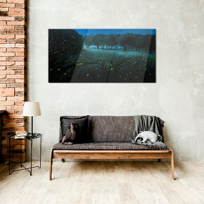 Night lights in the forest Glass Print