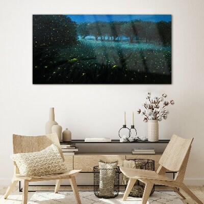 Night lights in the forest Glass Print